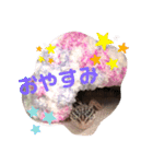 レオパードゲッコーの気持ちスタンプ（個別スタンプ：13）