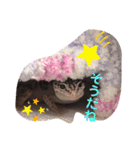 レオパードゲッコーの気持ちスタンプ（個別スタンプ：18）