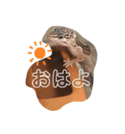 レオパードゲッコーの気持ちスタンプ（個別スタンプ：23）