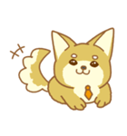 就活犬しばもんスタンプ（個別スタンプ：1）