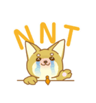 就活犬しばもんスタンプ（個別スタンプ：2）