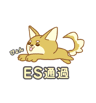 就活犬しばもんスタンプ（個別スタンプ：14）
