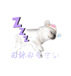 ダンのスタンプ（個別スタンプ：6）