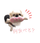 ダンのスタンプ（個別スタンプ：14）