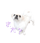 ダンのスタンプ（個別スタンプ：22）