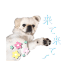 ダンのスタンプ（個別スタンプ：32）