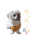 ダンのスタンプ（個別スタンプ：33）