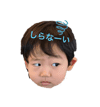 いっせいの愉快な日々2（個別スタンプ：2）