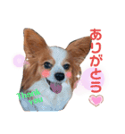 ベリーの日常②（個別スタンプ：2）