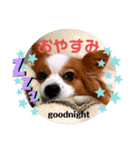 ベリーの日常②（個別スタンプ：4）