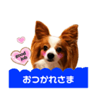 ベリーの日常②（個別スタンプ：5）
