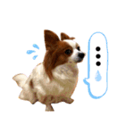 ベリーの日常②（個別スタンプ：11）