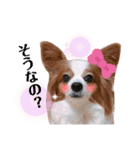 ベリーの日常②（個別スタンプ：15）