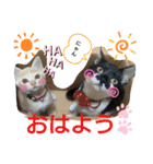 にゃんこのいる生活2（個別スタンプ：6）