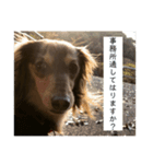 私のりかちゃん。（個別スタンプ：5）