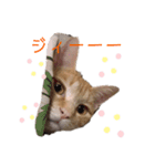 miki_20200127164849（個別スタンプ：4）