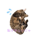 miki_20200127164849（個別スタンプ：5）