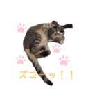 miki_20200127164849（個別スタンプ：8）