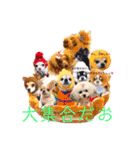 おいでやす京都（個別スタンプ：1）