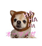 おいでやす京都（個別スタンプ：2）