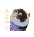 おいでやす京都（個別スタンプ：8）