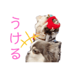 おいでやす京都（個別スタンプ：10）