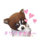 おいでやす京都（個別スタンプ：12）