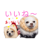 おいでやす京都（個別スタンプ：16）
