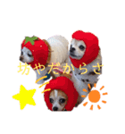 おいでやす京都（個別スタンプ：17）