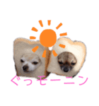 おいでやす京都（個別スタンプ：19）