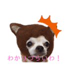 おいでやす京都（個別スタンプ：20）