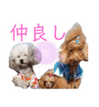 おいでやす京都（個別スタンプ：24）