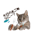我が家のゆずにゃん（個別スタンプ：8）