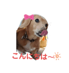 わたしのふたつの宝物2（個別スタンプ：5）