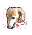 わたしのふたつの宝物2（個別スタンプ：8）