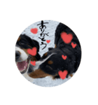 ゆずれもん姉妹の日常（個別スタンプ：3）