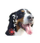 ゆずれもん姉妹の日常（個別スタンプ：7）
