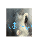 じゅにゃんと（個別スタンプ：5）