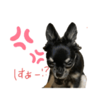 ケケ好きの人のためのスタンプ（個別スタンプ：7）