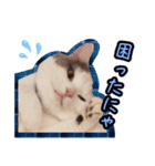 ごままる君の日常 その3（個別スタンプ：2）