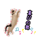 ごままる君の日常 その3（個別スタンプ：3）