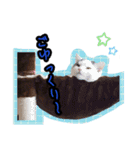 ごままる君の日常 その3（個別スタンプ：7）