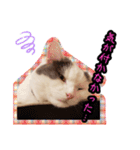 ごままる君の日常 その3（個別スタンプ：8）