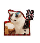 ごままる君の日常 その3（個別スタンプ：11）