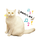ゆるねこだいすきスタンプ（個別スタンプ：2）