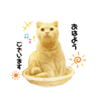 ゆるねこだいすきスタンプ（個別スタンプ：5）