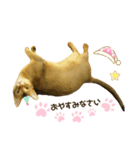 ゆるねこだいすきスタンプ（個別スタンプ：10）