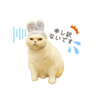 ゆるねこだいすきスタンプ（個別スタンプ：15）