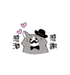 ノルウェージャンっぽい どらくん（個別スタンプ：6）
