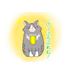 ノルウェージャンっぽい どらくん（個別スタンプ：12）
